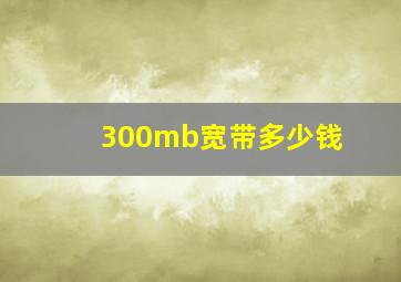 300mb宽带多少钱