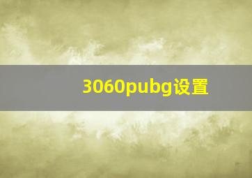 3060pubg设置