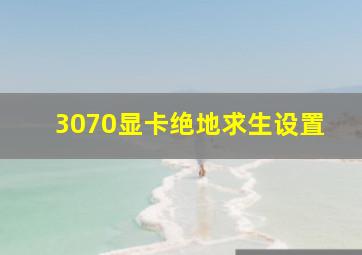 3070显卡绝地求生设置