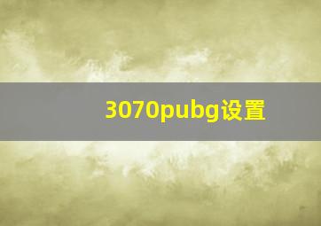 3070pubg设置