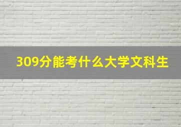 309分能考什么大学文科生