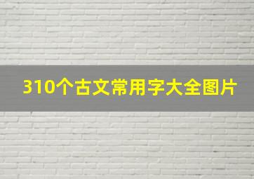 310个古文常用字大全图片