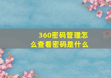 360密码管理怎么查看密码是什么