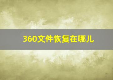 360文件恢复在哪儿