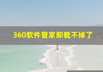 360软件管家卸载不掉了