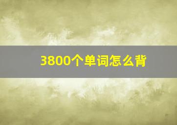 3800个单词怎么背