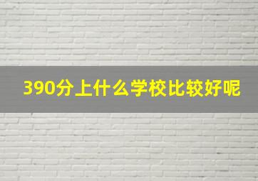 390分上什么学校比较好呢