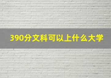 390分文科可以上什么大学