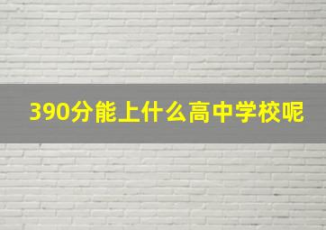 390分能上什么高中学校呢