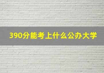 390分能考上什么公办大学