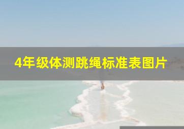 4年级体测跳绳标准表图片