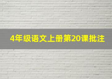 4年级语文上册第20课批注