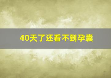 40天了还看不到孕囊