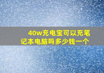 40w充电宝可以充笔记本电脑吗多少钱一个