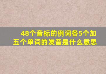 48个音标的例词各5个加五个单词的发音是什么意思