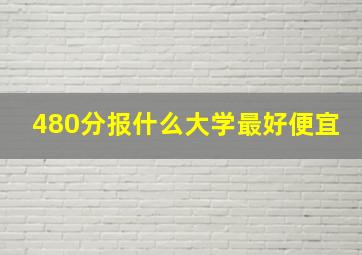 480分报什么大学最好便宜