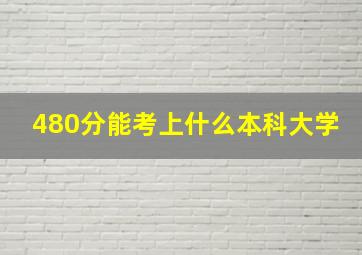 480分能考上什么本科大学