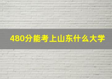 480分能考上山东什么大学