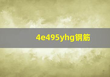 4e495yhg钢筋