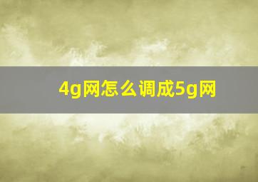 4g网怎么调成5g网