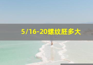 5/16-20螺纹胚多大