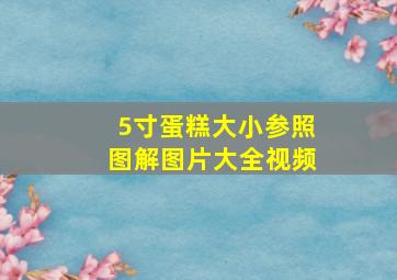 5寸蛋糕大小参照图解图片大全视频