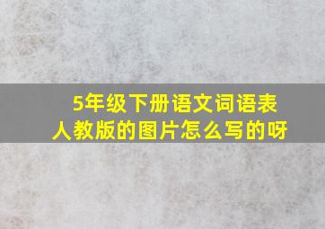 5年级下册语文词语表人教版的图片怎么写的呀