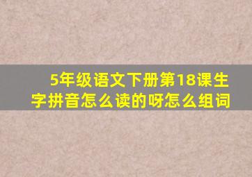 5年级语文下册第18课生字拼音怎么读的呀怎么组词