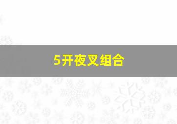 5开夜叉组合