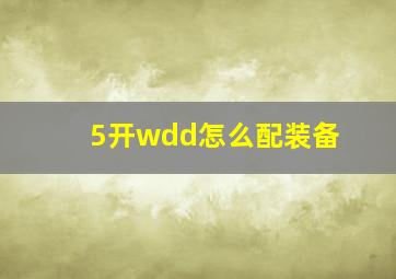 5开wdd怎么配装备