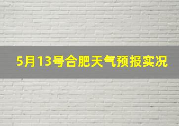 5月13号合肥天气预报实况