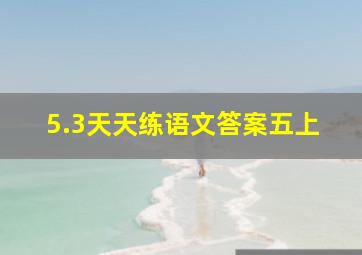 5.3天天练语文答案五上