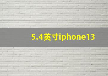 5.4英寸iphone13