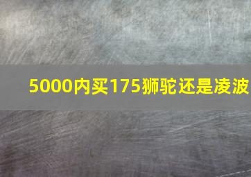 5000内买175狮驼还是凌波