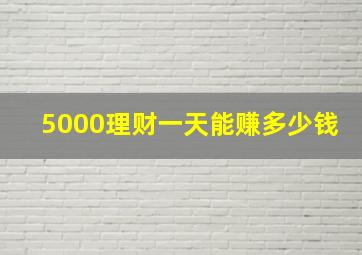 5000理财一天能赚多少钱