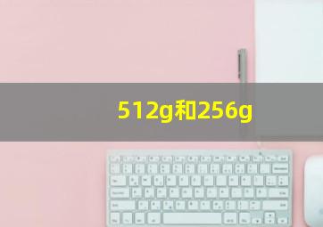 512g和256g