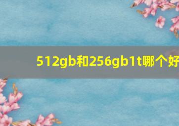 512gb和256gb1t哪个好