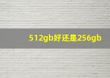 512gb好还是256gb