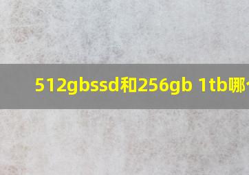 512gbssd和256gb+1tb哪个好