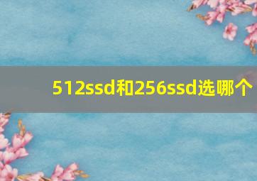 512ssd和256ssd选哪个