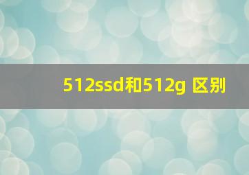 512ssd和512g 区别