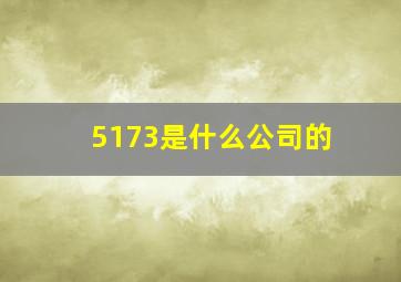 5173是什么公司的