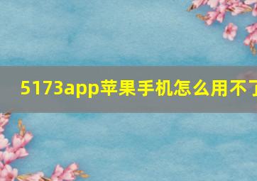 5173app苹果手机怎么用不了