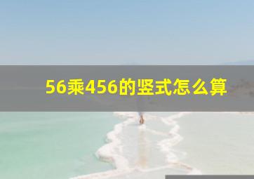 56乘456的竖式怎么算