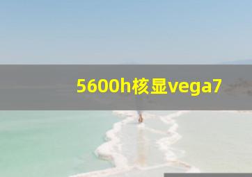 5600h核显vega7