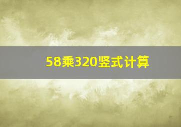 58乘320竖式计算