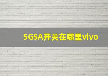 5GSA开关在哪里vivo