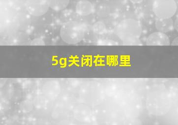 5g关闭在哪里