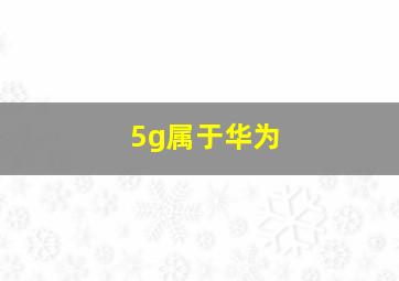 5g属于华为