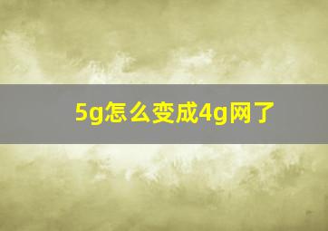 5g怎么变成4g网了